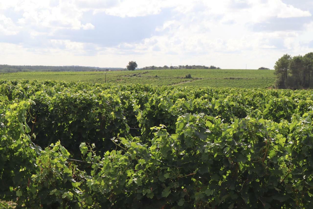 Domaine Des Tilleuls Val-de-Livenne Eksteriør bilde